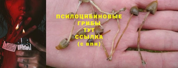 гидропоника Балахна