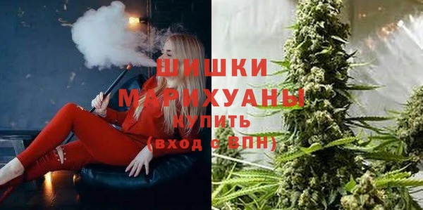 соль ск Алзамай