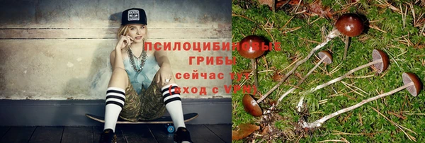 соль ск Алзамай