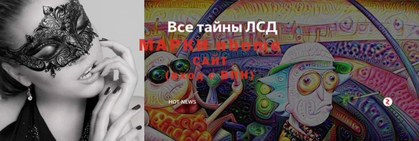 соль ск Алзамай