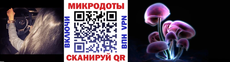 Псилоцибиновые грибы мицелий  Купить где  Мегион 